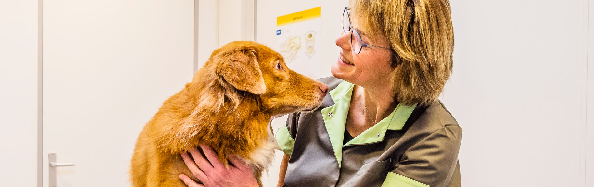 Nieuw bij Nanda Dierenkliniek: De Healthy Pet Club!