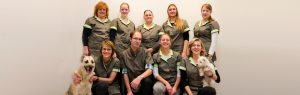 Maak kennis met het team van Nanda Dierenkliniek in Zwolle